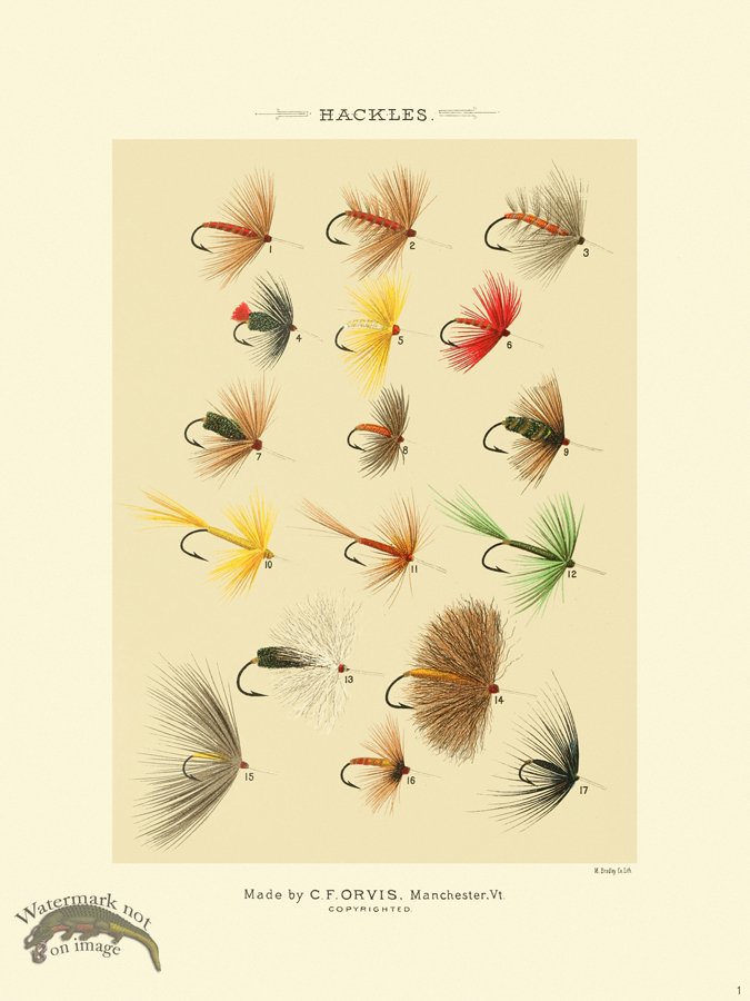 (image for) Favorite Flies 01 Hackles