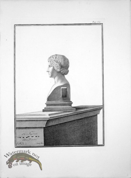 (image for) Ercolano Bust 05