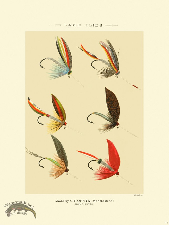 (image for) Favorite Flies 11 Lake