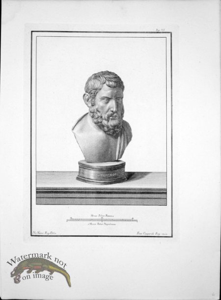 (image for) Ercolano Bust 14