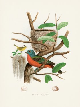 Thomas Gentry Bird 22