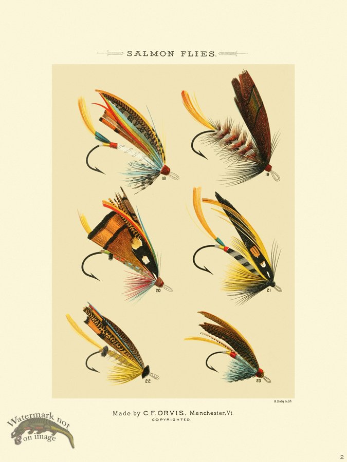 (image for) Favorite Flies 02 Salmon