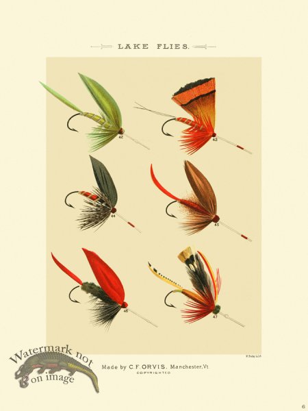 (image for) Favorite Flies 06 Lake