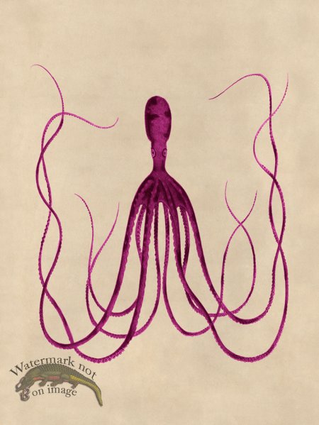 (image for) Octopus Pink 23