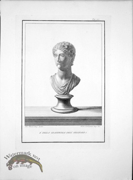 (image for) Ercolano Bust 11