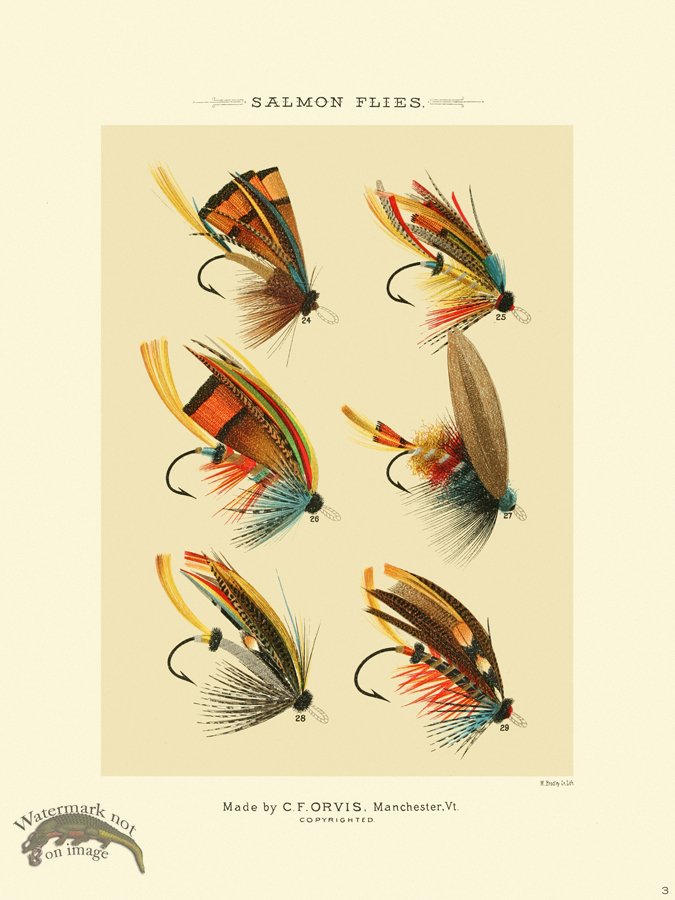 (image for) Favorite Flies 03 Salmon