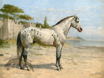 Appaloosa Horse Rearing | Art Board Print