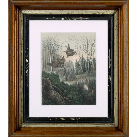 Framed Antiques